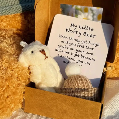 NEW Pocket Teddy Bear Mini Plush Bears In Box, Little Pocket Bears With Inspirational Card, Sympathy Gifts For Graduation Birth Good Vibrations