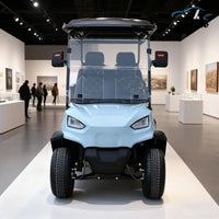 New Customized Club Car Electric Golf Cart With Foldable Rear Seat Adult Ranch Electric Four-Wheeler Electric Car For Adults Good Vibrations