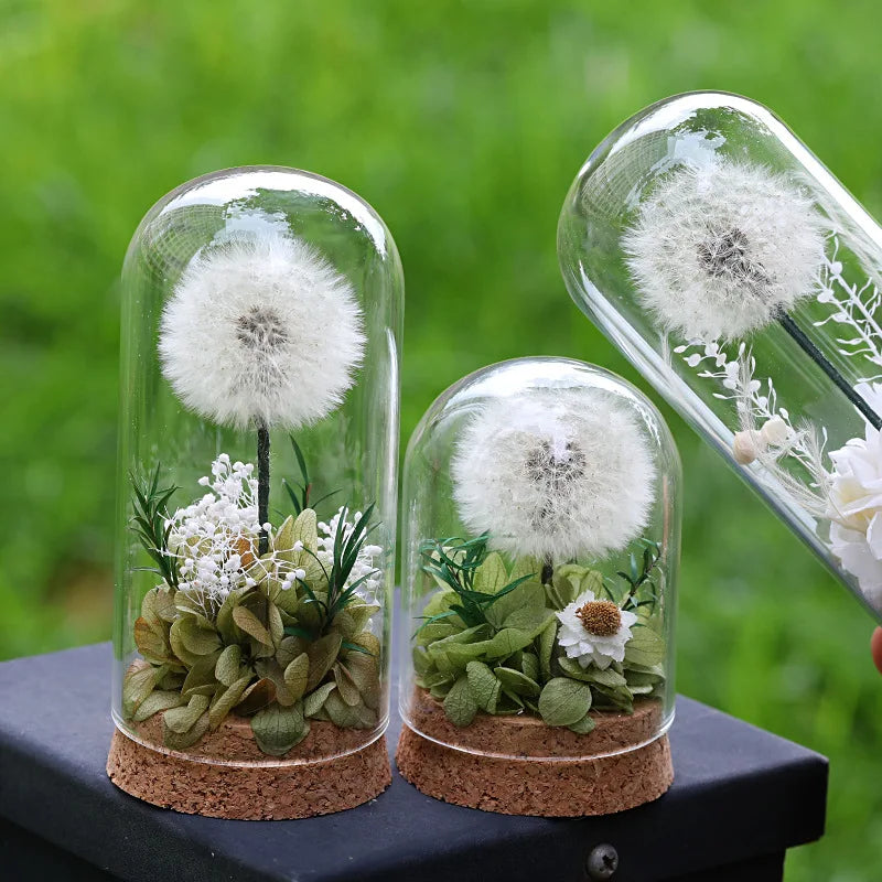 Popular Preserved Flower Gift with Glass Dome and Dandelion - Ideal for Mother's Day, Qixi, Valentine's, Birthdays & Weddings Good Vibrations