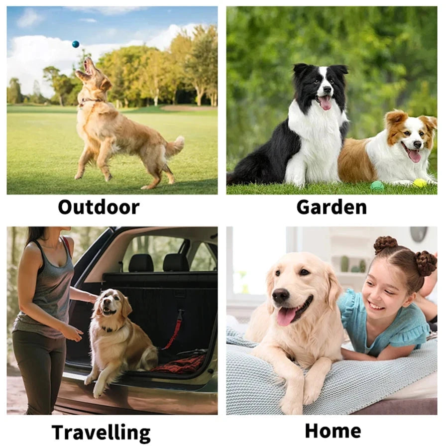 Cleaning Wipes Gloves for Dog and Cat,Pet Bathing Wipes Cleaning & Deodorizing,Dog Wipes for Body Paws Butt Daily Care,Cat Groom Good Vibrations