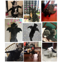 Halloween Cat Costumes Pet Clothes Black Bat Wings Harness Costume Cute Pet Bat Chest Strap for Cat Dog Halloween Party Cosplay Good Vibrations