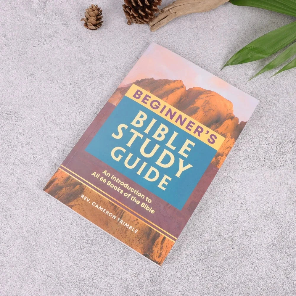 Beginner's Bible Study Guide: An Introduction to All 66 Books of the Bible Good Vibrations
