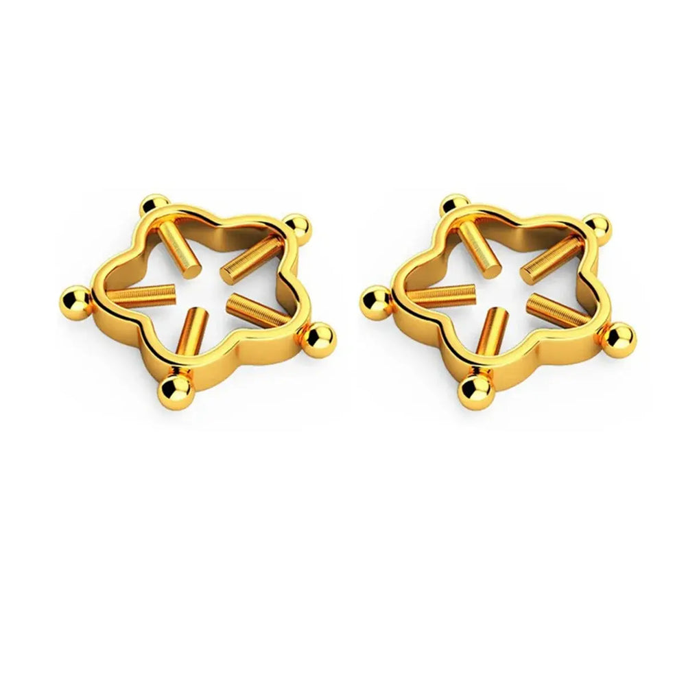 2Pcs 316L Stainless Steel Adjustable Nipple Rings for Women, Star Shaped Flower Shaped Clip On Nipple Ring Fake Piercing Jewelry Good Vibrations Adult Super Store