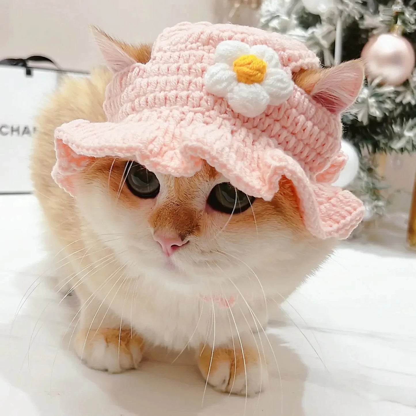 Cute Cat Hat Funny Pets Party Cosplay Headwear Delicate Hemming Pendant Decor Elasticity Knitted Hat Pet Accessories Good Vibrations