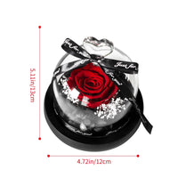 Gifts for Girls Eternal Flowers In Heart Glass Dome with Led Light Forever Preserved Rose Wedding Gift for Mom Women Girlfriend Good Vibrations