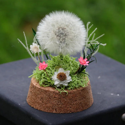 Popular Preserved Flower Gift with Glass Dome and Dandelion - Ideal for Mother's Day, Qixi, Valentine's, Birthdays & Weddings Good Vibrations