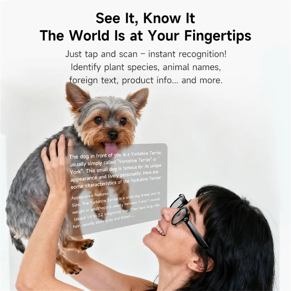 AI Smart Glasses Real-time Translation Dual Camera Bluetooth Call Sunglasses Shoot Audio Video Music Player Multifunctional Men Good Vibrations