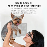 AI Smart Glasses Real-time Translation Dual Camera Bluetooth Call Sunglasses Shoot Audio Video Music Player Multifunctional Men Good Vibrations