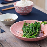 Japanese Style Ceramic Tableware Set Household Cutlery Creative Ceramic Dinnerware dining table dish set dinner set eco friendly Good Vibrations