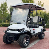 New Hunting Club Street Legal Utility Vehicle Electric Lithium Golf Cart 2/4/6 Seaters Solar Powered Unlimited Electricity Good Vibrations