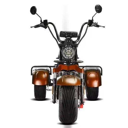 Unisex 3-Wheel Electric Tricycle Citycoco EEC Approved Electric Dirt Bike Scooter And Motorcycle 2000w Power Good Vibrations