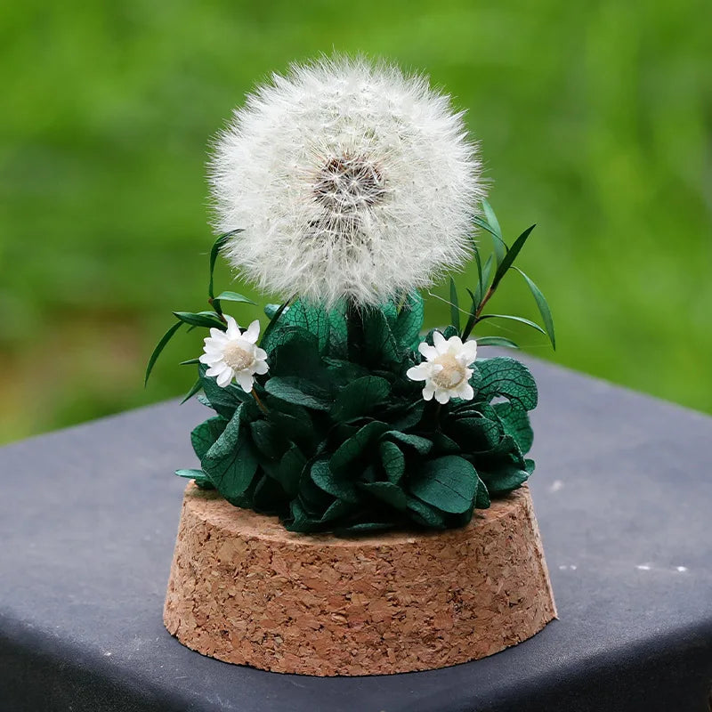 Popular Preserved Flower Gift with Glass Dome and Dandelion - Ideal for Mother's Day, Qixi, Valentine's, Birthdays & Weddings Good Vibrations