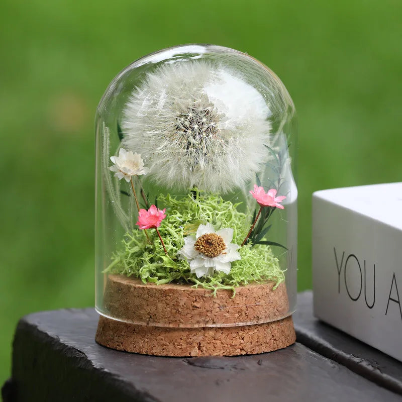 Popular Preserved Flower Gift with Glass Dome and Dandelion - Ideal for Mother's Day, Qixi, Valentine's, Birthdays & Weddings Good Vibrations