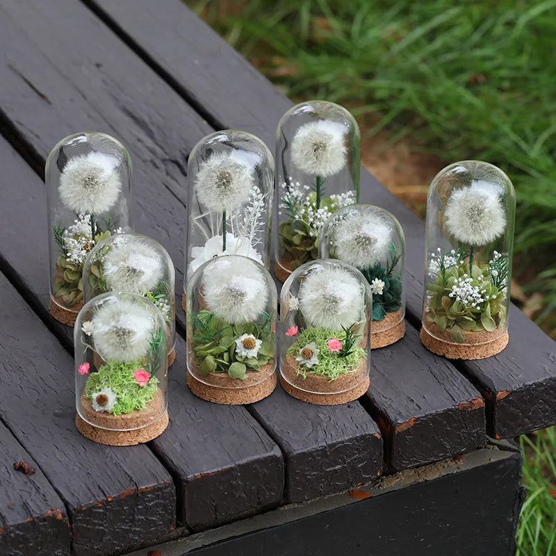 Popular Preserved Flower Gift with Glass Dome and Dandelion - Ideal for Mother's Day, Qixi, Valentine's, Birthdays & Weddings Good Vibrations