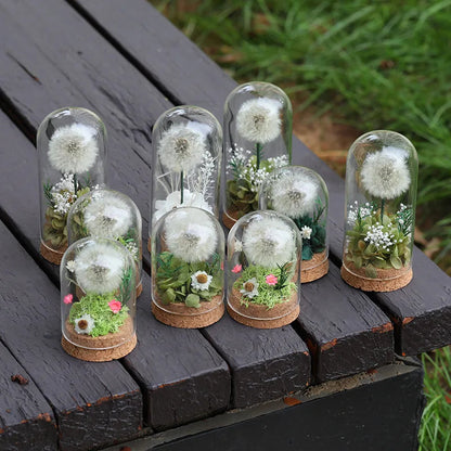 Popular Preserved Flower Gift with Glass Dome and Dandelion - Ideal for Mother's Day, Qixi, Valentine's, Birthdays & Weddings Good Vibrations