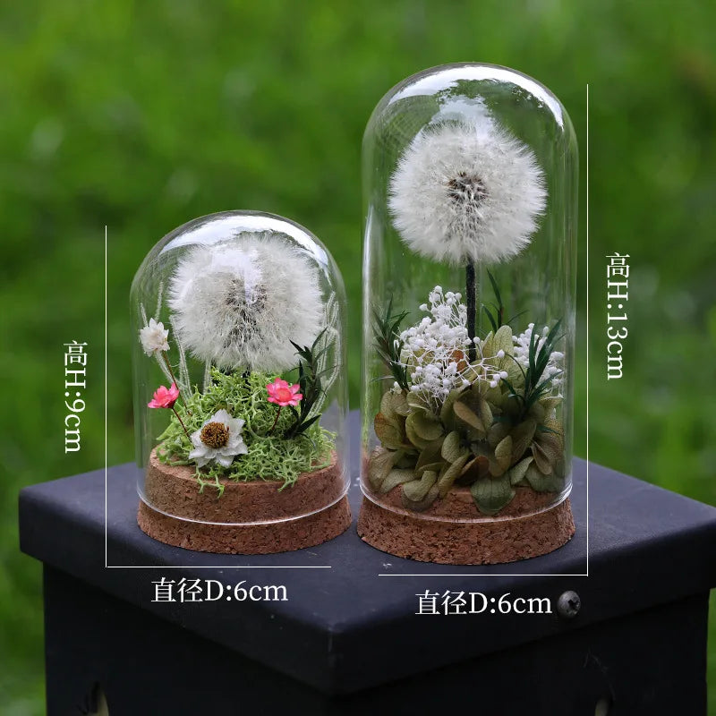 Popular Preserved Flower Gift with Glass Dome and Dandelion - Ideal for Mother's Day, Qixi, Valentine's, Birthdays & Weddings Good Vibrations