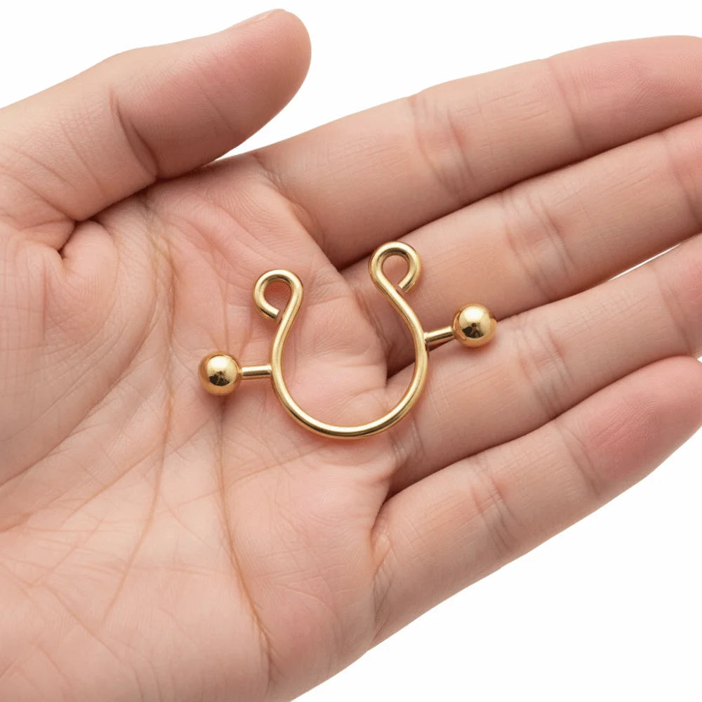 2pcs/set Steel Nipple Clip Rings Round Screw Faux Nipple Faux Nipple Shield Fashion Accessory Clip Design Good Vibrations