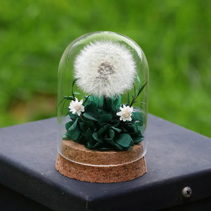 Popular Preserved Flower Gift with Glass Dome and Dandelion - Ideal for Mother's Day, Qixi, Valentine's, Birthdays & Weddings Good Vibrations