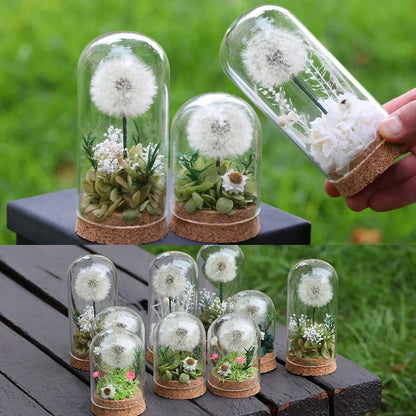 Popular Preserved Flower Gift with Glass Dome and Dandelion - Ideal for Mother's Day, Qixi, Valentine's, Birthdays & Weddings Good Vibrations