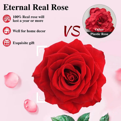 Women's Holiday Gifts Eternal Red Rose With Heart Necklace Flower Lipstick Gift For Mom Girlfriend Birthday From Daughter Sons Good Vibrations