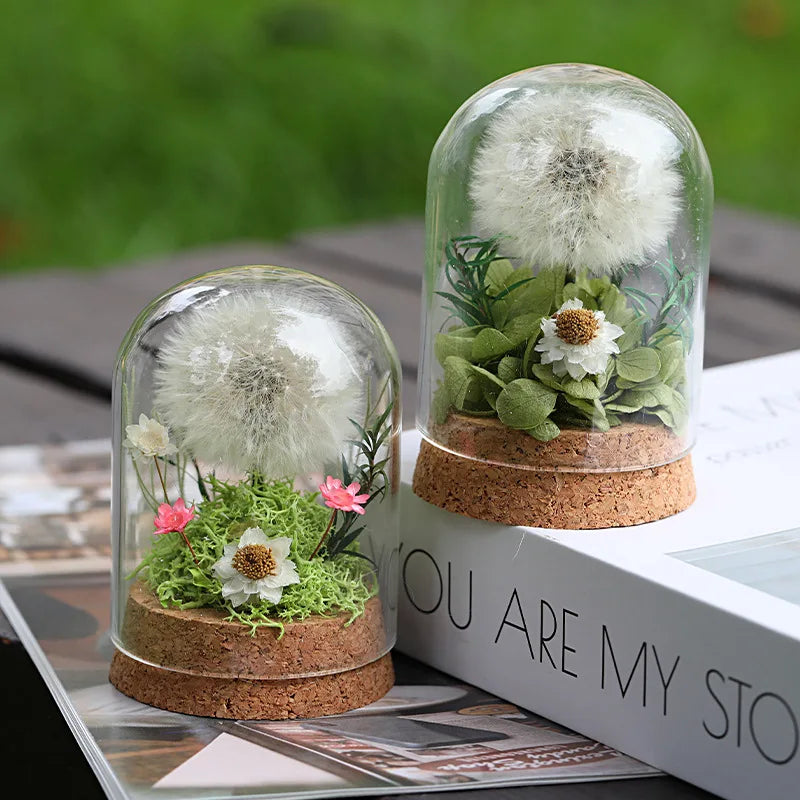 Popular Preserved Flower Gift with Glass Dome and Dandelion - Ideal for Mother's Day, Qixi, Valentine's, Birthdays & Weddings Good Vibrations