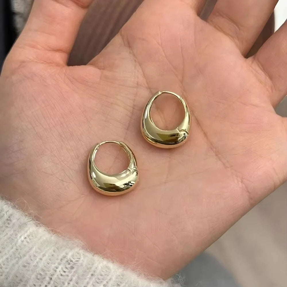 Stainless Steel Smooth Metal Chunky Hoop Earrings for Women Fashion Round Circle Hoops Statement Earrings Trendy Jewelry Good Vibrations