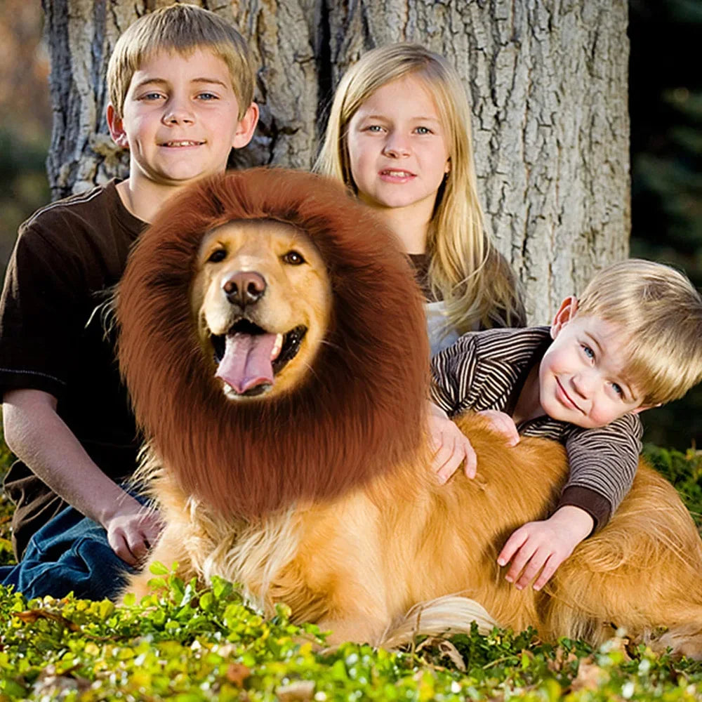 Cute Pet Dog Cosplay Clothes Lion Mane For Dog Costumes Realistic Lion Wig For Medium to Large Dogs With Ear Pet Accessories Good Vibrations