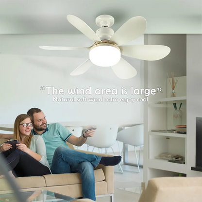 Socket Fan Light with Remote, 20.5in Small Ceiling Fan with LED, E26/27 Cordless Light Screw Fan for Kitchen Bedroom, Small Room Good Vibrations