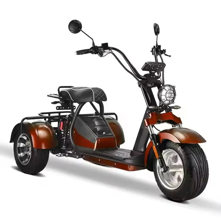 Unisex 3-Wheel Electric Tricycle Citycoco EEC Approved Electric Dirt Bike Scooter And Motorcycle 2000w Power Good Vibrations