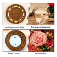 Valentine's Day Gift for Girlfriend Eternal Preserved Rose Flower Gift Box Teddy Bear Eternal Flower with Lights Gift for Women Good Vibrations