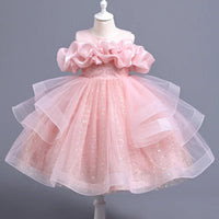 New Girl's Wedding Evening Dress Petal Sequin Mesh Sleeveless Dress Birthday Party School Graduation Party Dress Good Vibrations