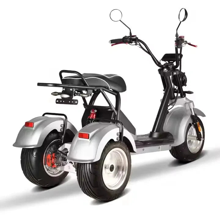 Unisex 3-Wheel Electric Tricycle Citycoco EEC Approved Electric Dirt Bike Scooter And Motorcycle 2000w Power Good Vibrations