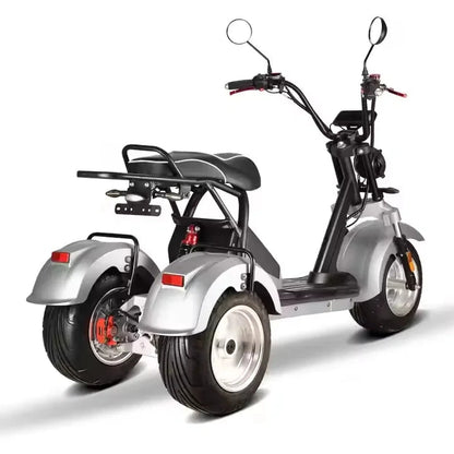 Unisex 3-Wheel Electric Tricycle Citycoco EEC Approved Electric Dirt Bike Scooter And Motorcycle 2000w Power Good Vibrations