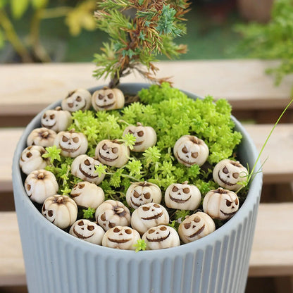 20Pcs Mini Ghost Face Pumpkin Decor Set - Halloween Resin Ornaments for Garden Potting, Micro Landscape & Party Decoration Good Vibrations