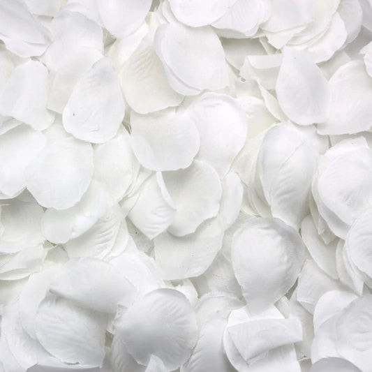 500 Rose petals  scattered white decoration Wedding Party Good Vibrations