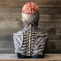 Halloween  Costumes Accessory Props Horror Brain Skull Headgear Cosplay Scary  Head Latex Mask Good Vibrations