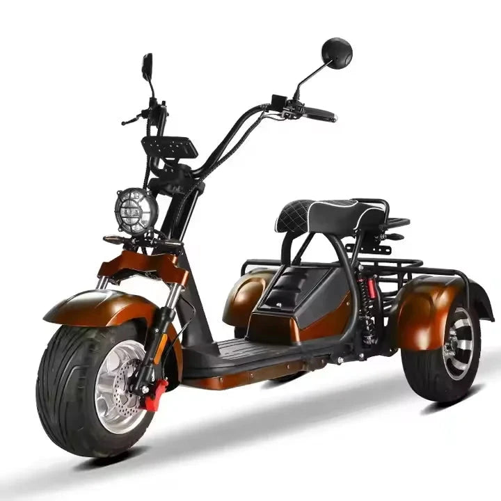 Unisex 3-Wheel Electric Tricycle Citycoco EEC Approved Electric Dirt Bike Scooter And Motorcycle 2000w Power Good Vibrations