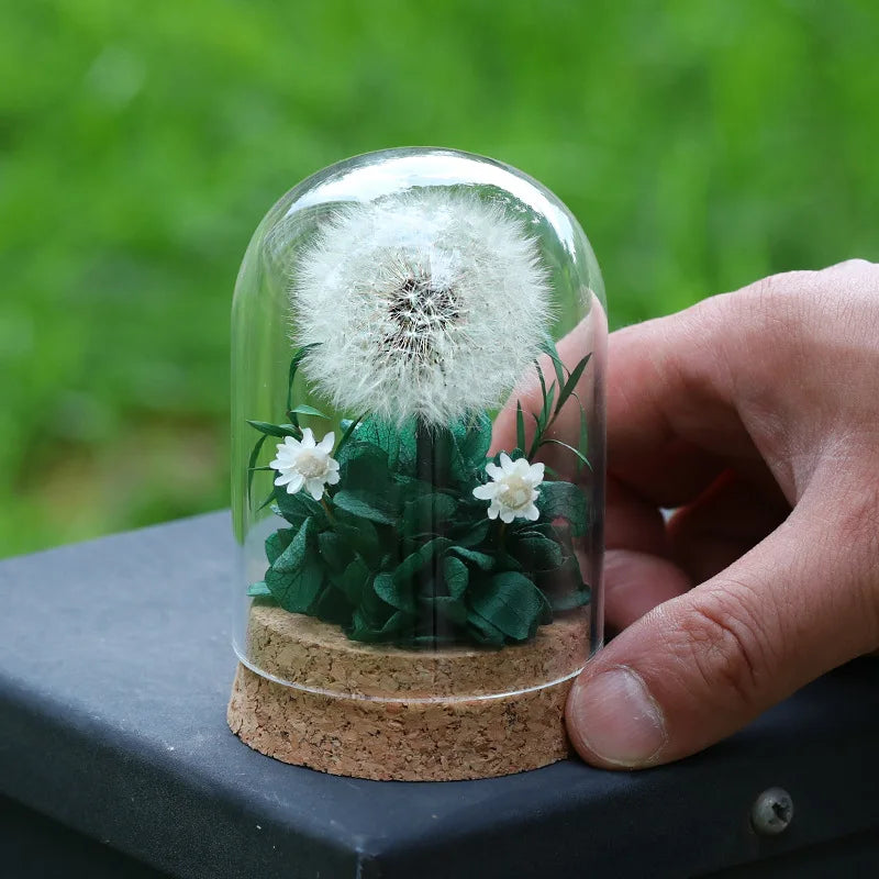 Popular Preserved Flower Gift with Glass Dome and Dandelion - Ideal for Mother's Day, Qixi, Valentine's, Birthdays & Weddings Good Vibrations