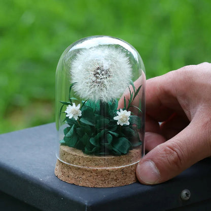 Popular Preserved Flower Gift with Glass Dome and Dandelion - Ideal for Mother's Day, Qixi, Valentine's, Birthdays & Weddings Good Vibrations