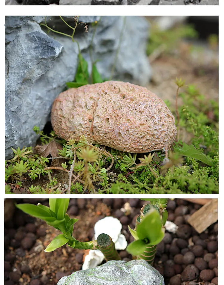 Sight Secret Rock Stone Shape Key Safe Box Hidden Storage Compartment For Home Garden RV Spare Keys Safes Free Gift Zipper Bag GOOD Vibrations Adult Super Store