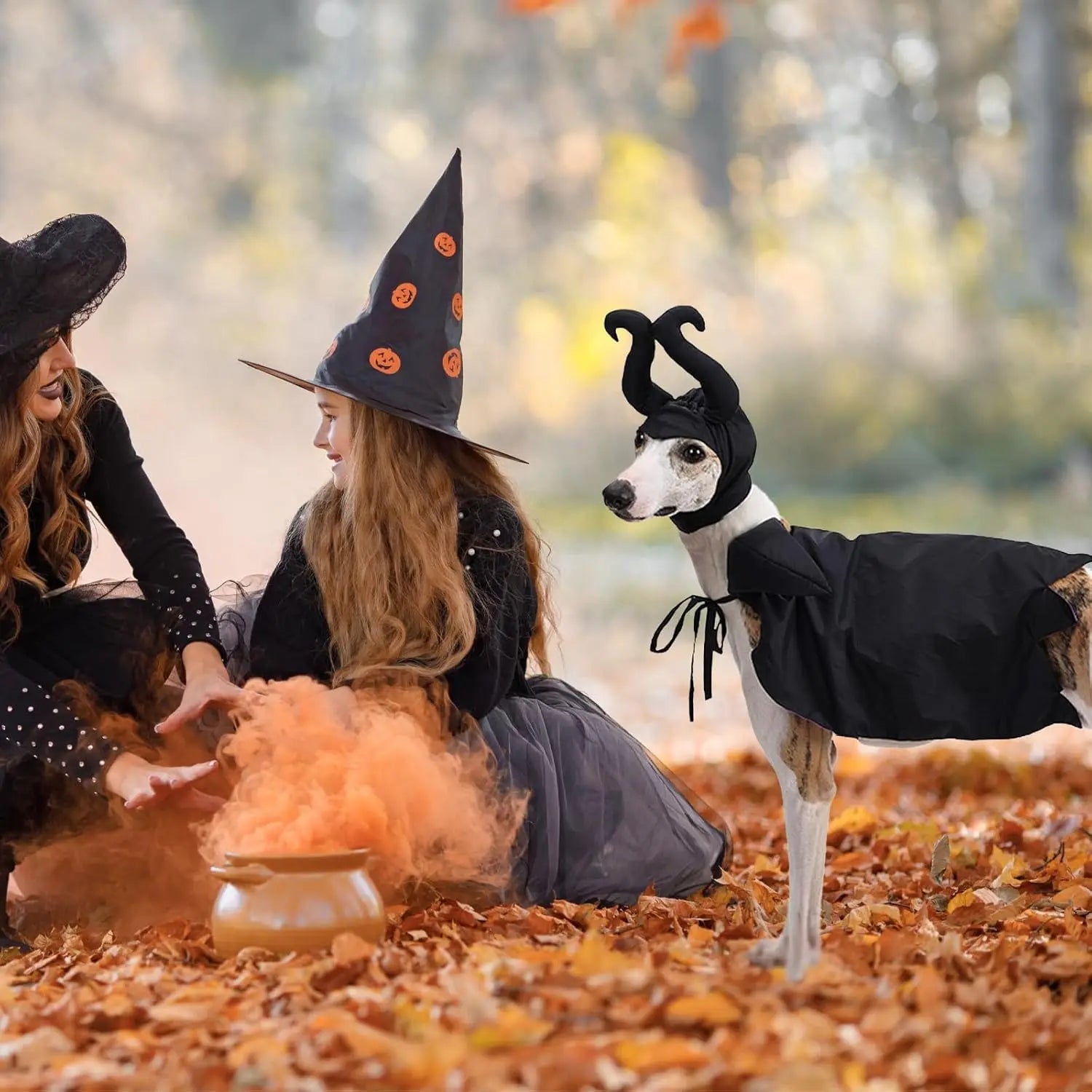 Halloween Witch-Shaped Costume cat Purple Vampire Cape Puppy Wizard Devil Horns Hat Pet Holiday Outfit for Small Middle-Sized Do Good Vibrations