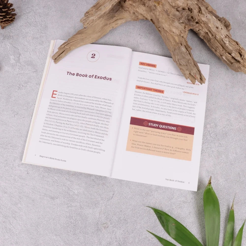 Beginner's Bible Study Guide: An Introduction to All 66 Books of the Bible Good Vibrations