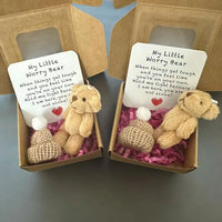 Mini Plush Bear Gift Set with Inspirational Cards，Boxed Present  Occasion Pocket Favors for Wedding, Graduation Valentines, Xmas Good Vibrations