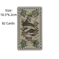 5 Cent Tarot Cards A 82 Deck Oracle English Visions Divination Edition Borad Past Present Future Playing Games