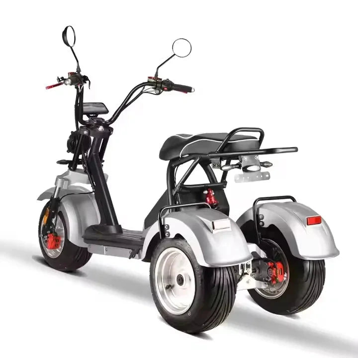 Unisex 3-Wheel Electric Tricycle Citycoco EEC Approved Electric Dirt Bike Scooter And Motorcycle 2000w Power Good Vibrations