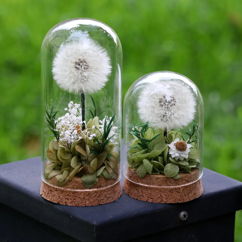 Popular Preserved Flower Gift with Glass Dome and Dandelion - Ideal for Mother's Day, Qixi, Valentine's, Birthdays & Weddings Good Vibrations