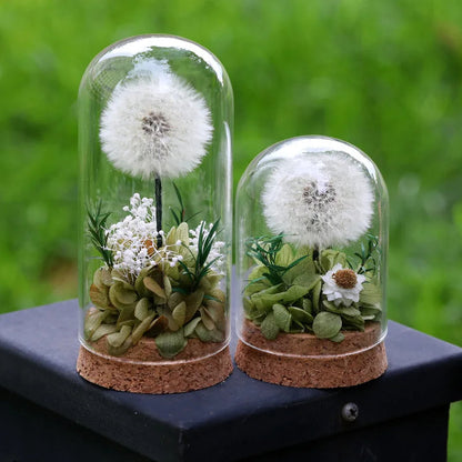 Popular Preserved Flower Gift with Glass Dome and Dandelion - Ideal for Mother's Day, Qixi, Valentine's, Birthdays & Weddings Good Vibrations