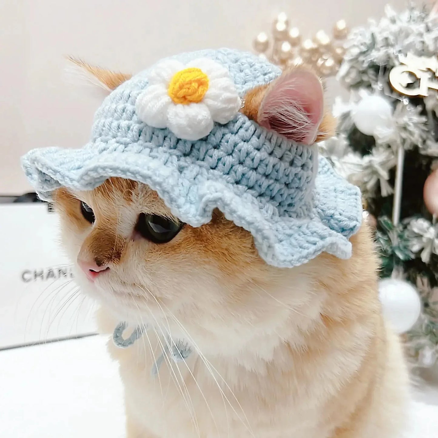 Cute Cat Hat Funny Pets Party Cosplay Headwear Delicate Hemming Pendant Decor Elasticity Knitted Hat Pet Accessories Good Vibrations