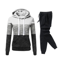 Hot Sales Daily Women's Tracksuit Hoodies Long Sleeves Casual Single Piece Sweatshirts Sweatpants Comfort Outdoor Jogging Sports Good Vibrations