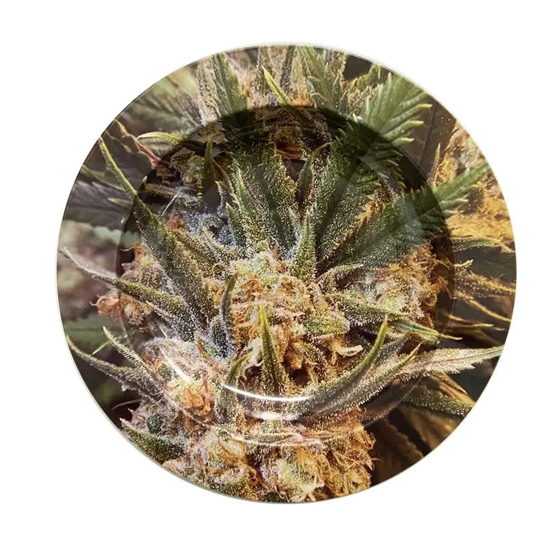 Bar Cigar Round Ashtray Tobacco Herb Metal Cigarette Rolling Tray Smoking Accessories Creative Personality Men's Gadgets GOOD Vibrations Adult Super Store